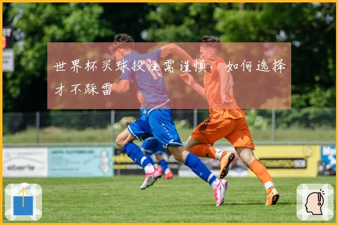 世界杯买球投注需谨慎，如何选择才不踩雷