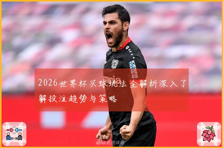 2026世界杯买球玩法全解析深入了解投注趋势与策略
