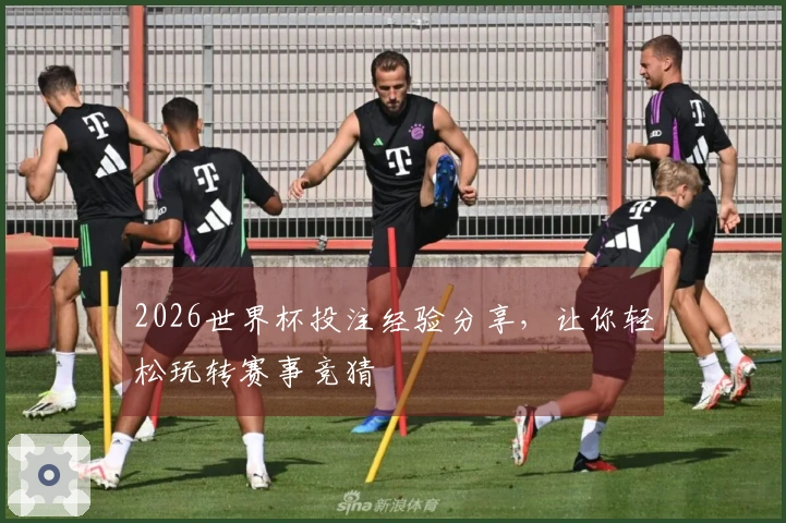 2026世界杯投注经验分享，让你轻松玩转赛事竞猜