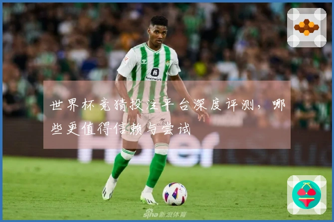 世界杯竞猜投注平台深度评测，哪些更值得信赖与尝试