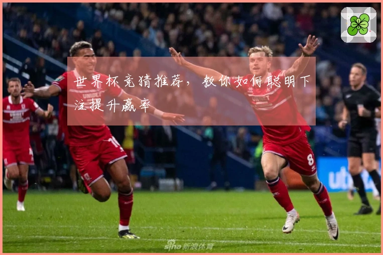 世界杯竞猜推荐，教你如何聪明下注提升赢率